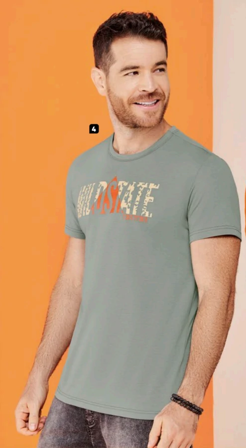 Camiseta wildstate talla S 